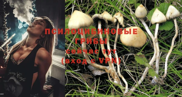 spice Абаза
