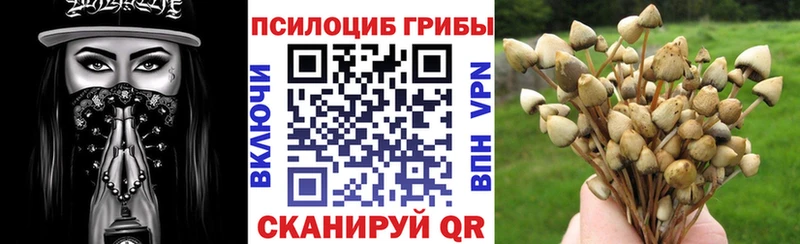 купить наркотик Партизанск Псилоцибиновые грибы Psilocybine cubensis