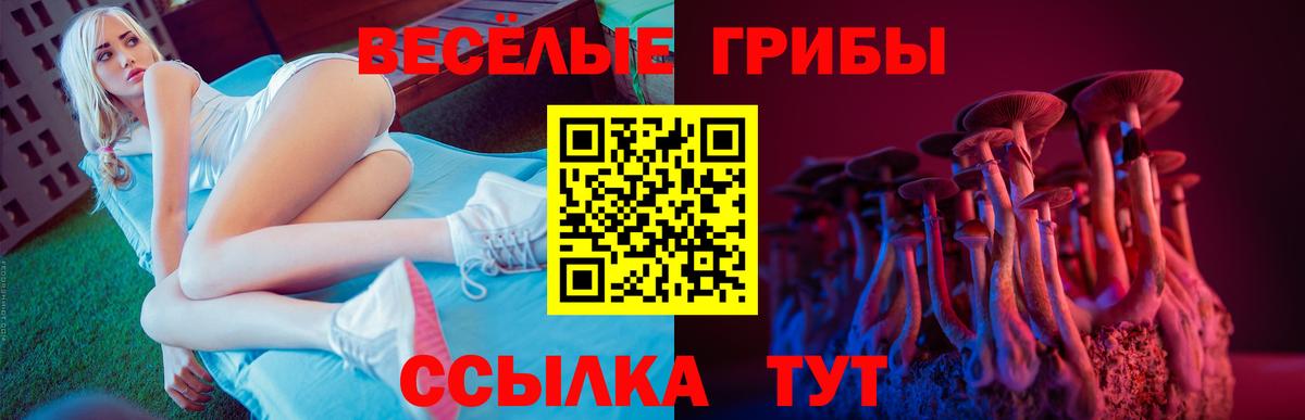 Галлюциногенные грибы ЛСД  Псилоцибиновые грибы Cubensis  Вход с VPN  Партизанск 